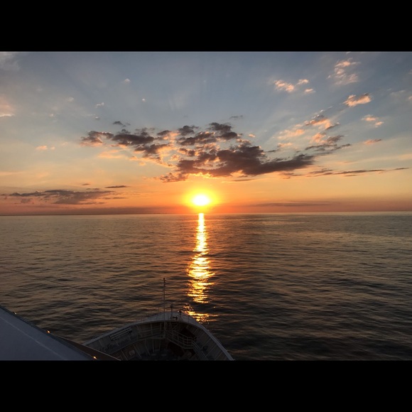 Meet your Posher, Judy - Picture 1 of 1